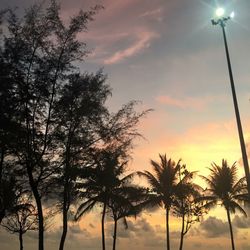 Low angle view of silhouette trees against sky