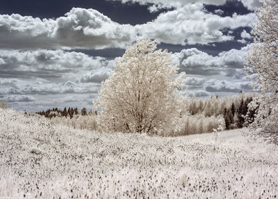 Scenic view of land against sky