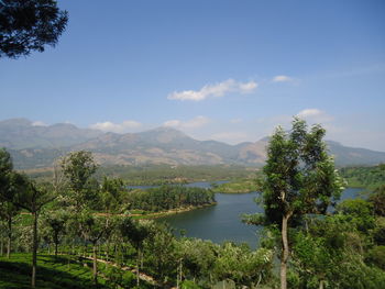 Scenic view of trees and mountains against sky