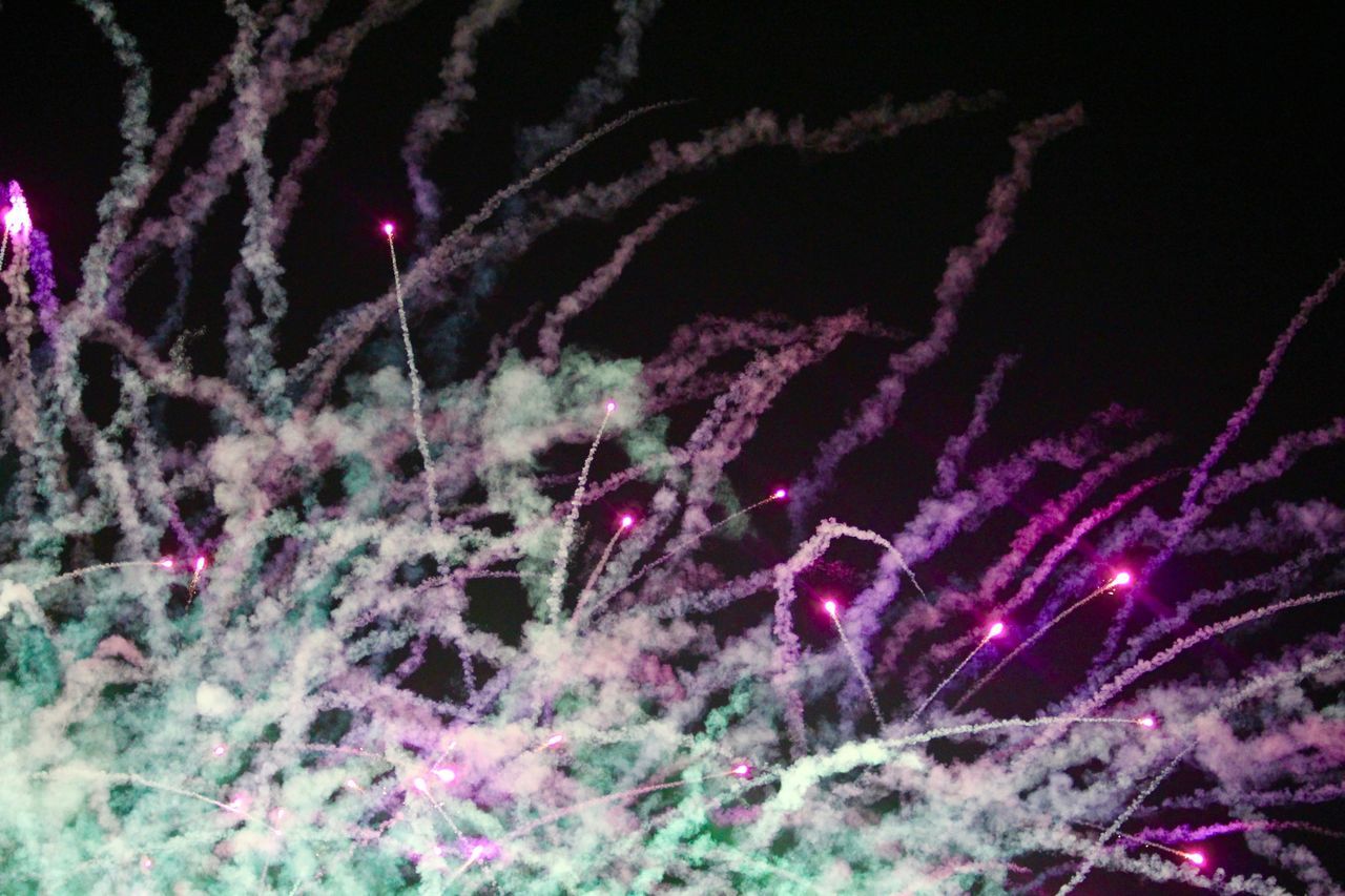 CLOSE-UP OF FROZEN PLANTS AGAINST ILLUMINATED SKY AT NIGHT