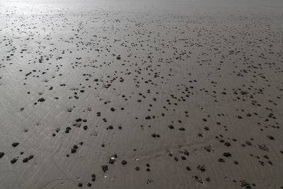 Full frame shot of wet beach