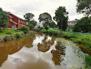 Reflection of houses and trees in puddle