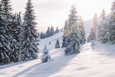 Snow covered landscape against sky