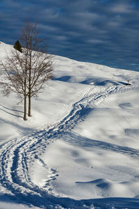 Winter landscape with footprints in the snow along the path, the low sun and a cloudy blue sky