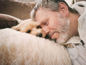 Close-up of dog sleeping on bed at home