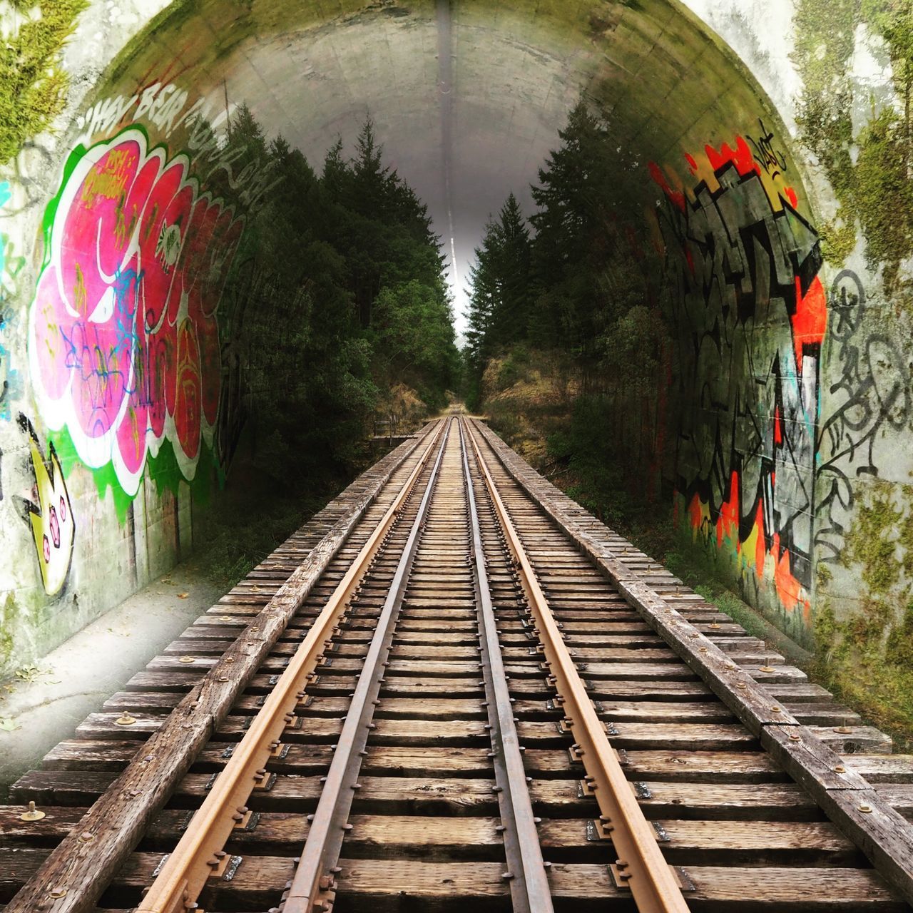 RAILROAD TRACKS AMIDST TREES AND TUNNEL