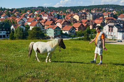 Man and horse in a countryside - with red roofs in background