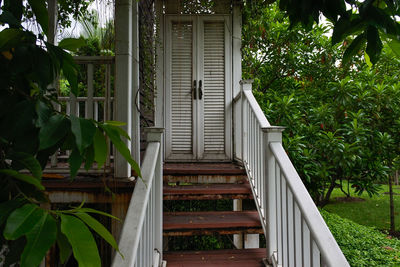 Trees and plants growing outside building in yard