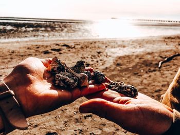 Close-up of hand holding sand on beach