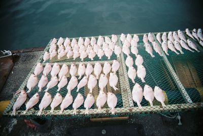 Row of objects in the dark