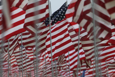 Close-up of flags