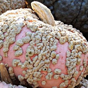 Close up of a white background