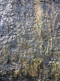 Full frame shot of rock on wall