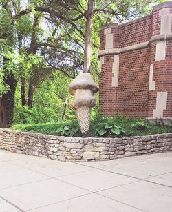 Plants growing on tree trunk