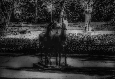 Portrait of horse in a field