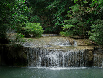 Scenic view of waterfall in forest