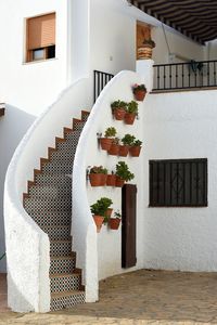 Various fruits on steps of house