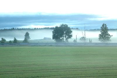 Scenic view of grassy field against sky