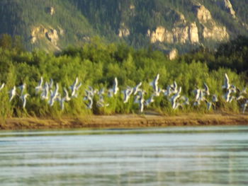 Scenic view of lake against sky