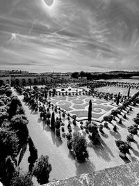 Versailles garden  orangerie 