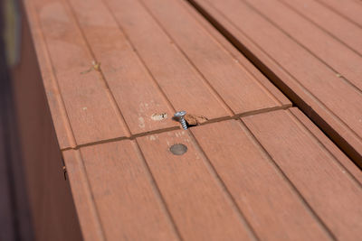 High angle view of insect on wood