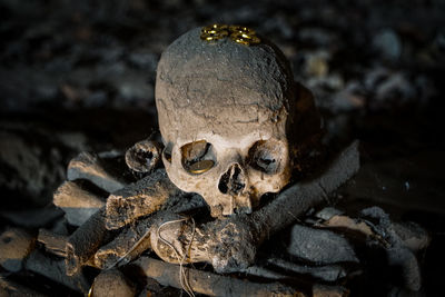 High angle view of human skull with coins on wood