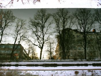 Snow covered trees in winter