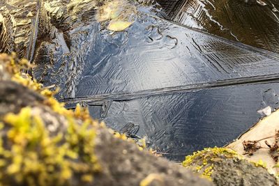 Close-up of puddle on water