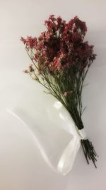 Close-up of flower vase against white background