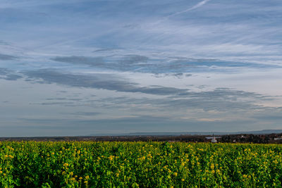 Scenic view of field against cloudy sky