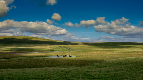 Scenic view of landscape against sky