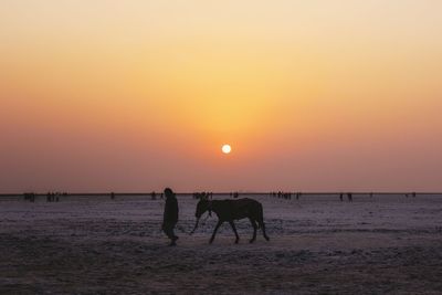 Silhouette man with horse on beach against clear sky during sunset