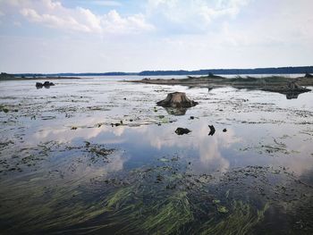 Scenic view of water against sky