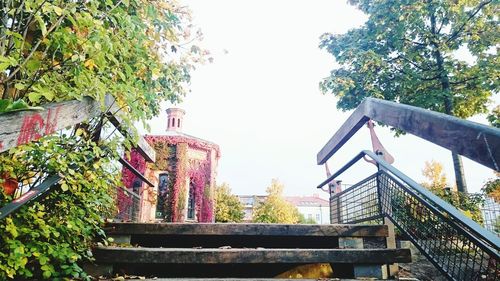 Low angle view of trees