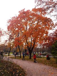 People walking on footpath in park during autumn