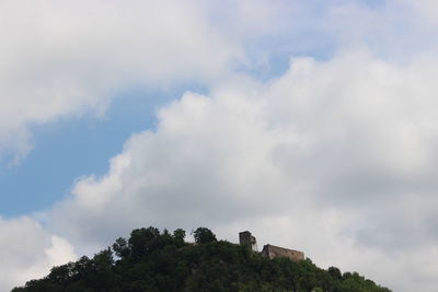 Low angle view of plants against sky