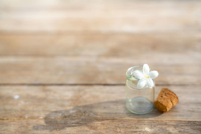 Close-up of white flower on table