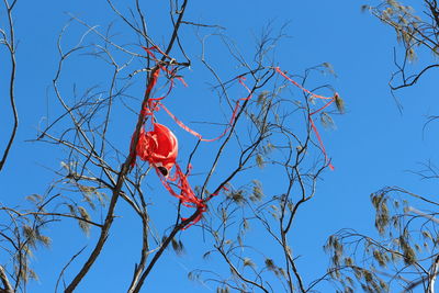 Low angle view of bare tree against clear sky