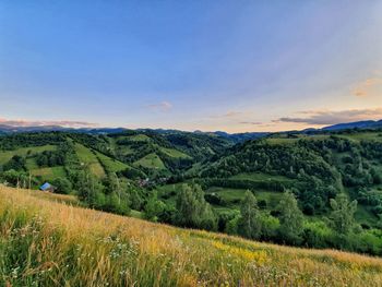 Scenic view of field against sky