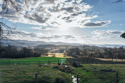 Scenic view of field against sky