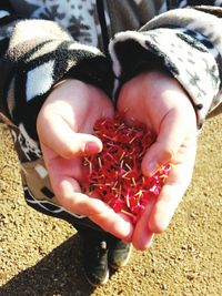 Low section of baby holding hands