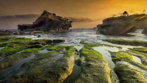 Scenic view of sea at sunset