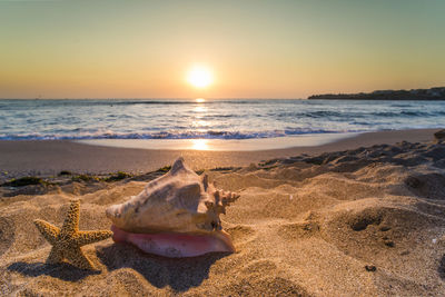 Scenic view of sea against sky during sunset