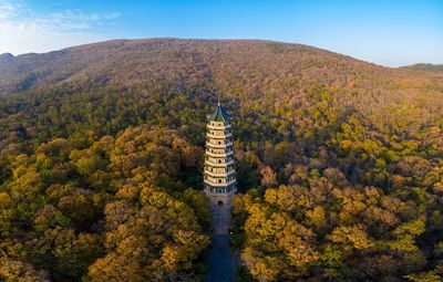 Aerial view of pagoda amidst trees