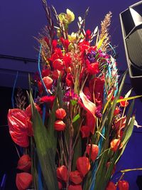 Close-up of red flowers