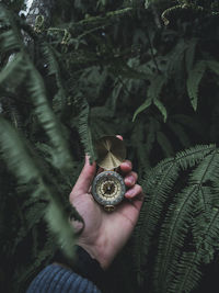 Close-up of hand holding leaf