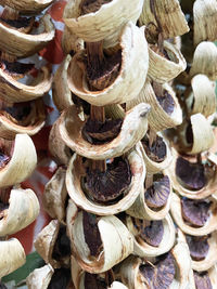 Full frame shot of shells for sale