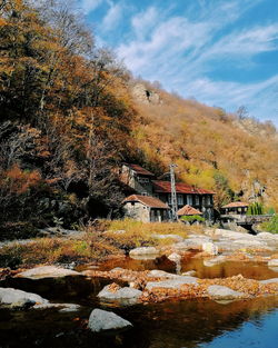 Plants growing by river against sky during autumn