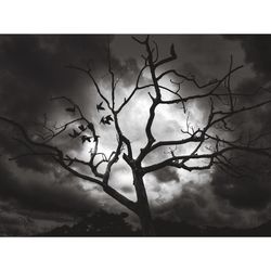 Low angle view of bare tree against cloudy sky