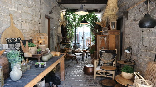 Potted plants on table